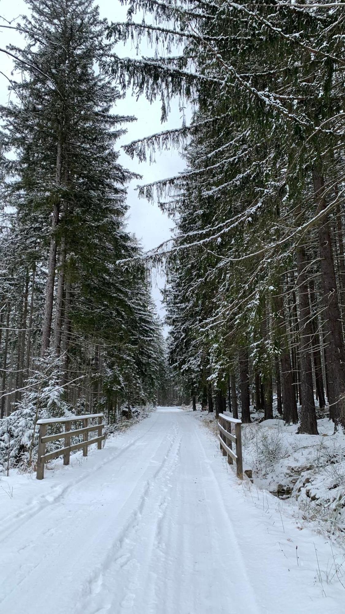 Apartament Hakerowka Szklarska Poręba Esterno foto